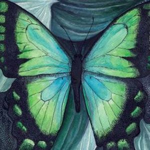 Meet your Posher, Kendra